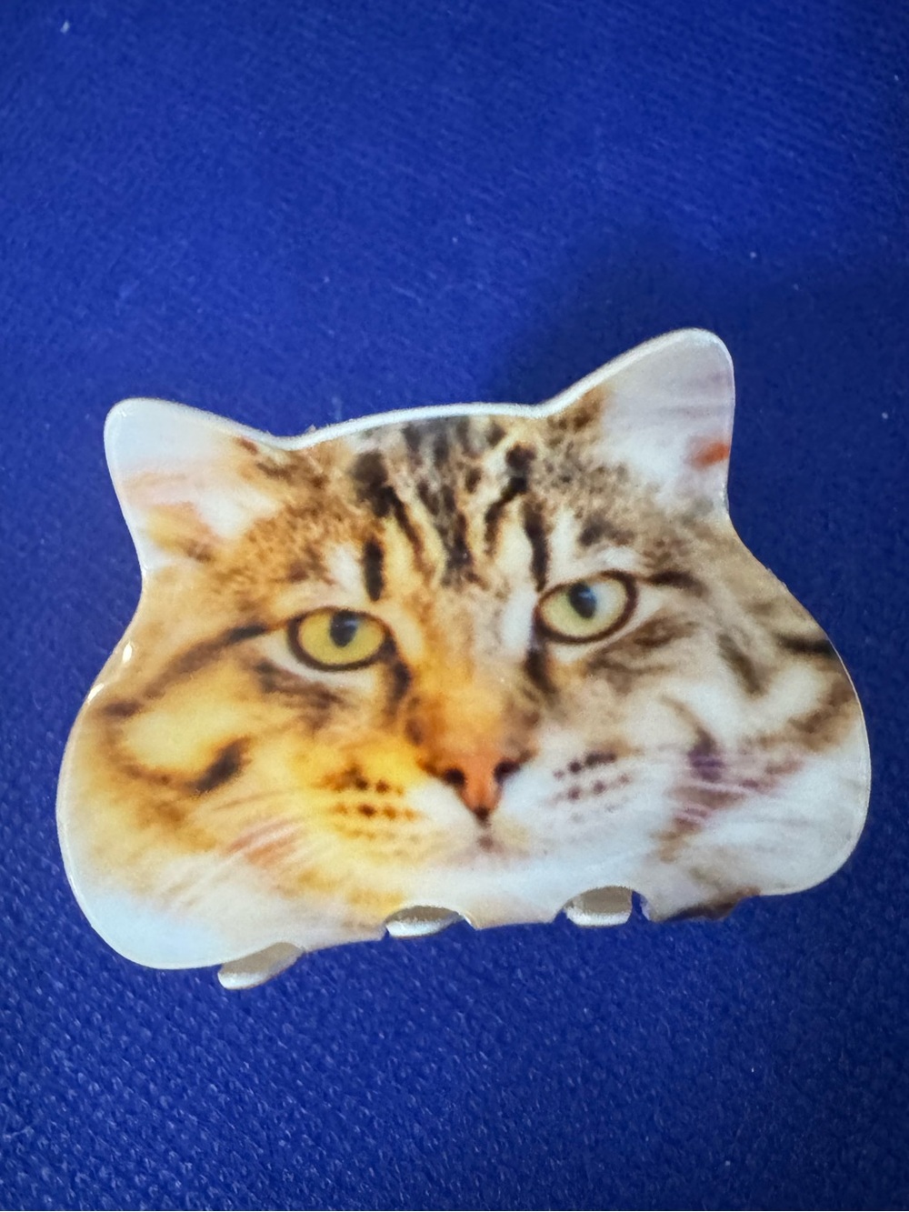 😻 NOT Judging you look Cutesy Cat Face Hair Claw-Clip - Cream Tabby Design -NWT